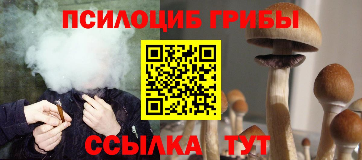 где можно купить   Псилоцибиновые грибы мицелий  Галлюциногенные грибы Magic Shrooms  Вход с VPN  Янаул 